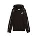 PUMA SPORT Sweat à capuche TR B