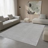 TapisTrend Designer tapijt Zilver 200x290 cm
