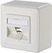Metz Connect Keystone 1 Port AP-Dose Reinweiß