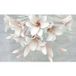 Papier peint panoramique - Fleurs - 325 cm x 203 cm