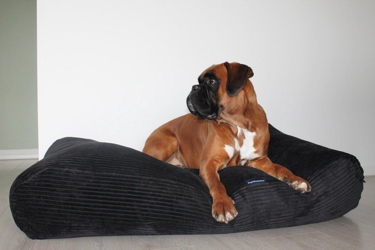 Dog's Companion Hondenkussen - M - 90 x 70 cm - Zwart