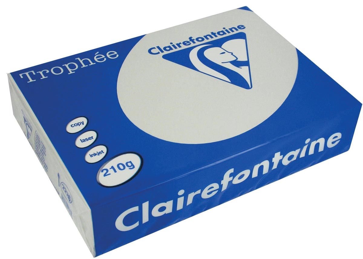 Clairefontaine Trophée Pastel A4 lichtgrijs 210 g 250 vel
