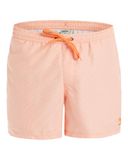 Quiksilver Everyday Deluxe Volley Zwemshort voor heren, 38,1 cm
