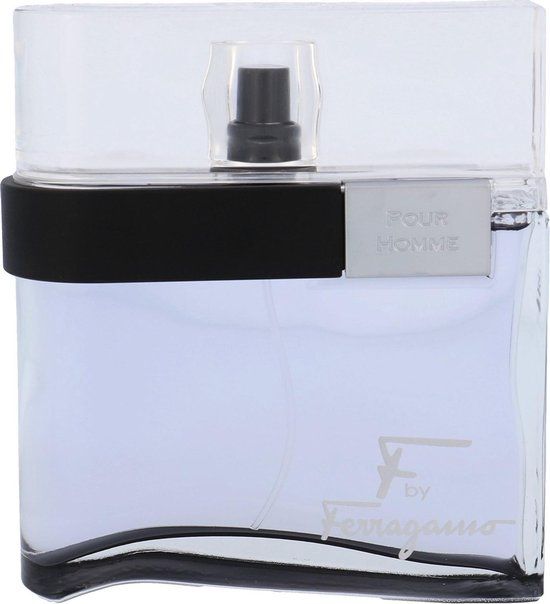 Salvatore Ferragamo Eau de Toilette / 100 ml / Men