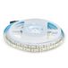 Ledstrip 5 meter 20 W per meter, SMD 5730, kleur van het licht koudwit, 6500 K voor gebruik binnenshuis met plakstrip, voeding met 12 volt.