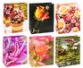 TSI Cadeauzakje Rozen, Verpakking van 12 stuks, Grootte: Groot (32 x 26 x 13,5 cm)