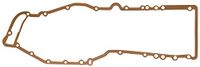 Timing Icecat Timing cover gasket