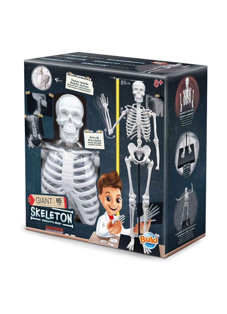 Buki Skelet - 85 cm