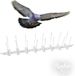 Biotop B2430 spiesen voor vogels en andere dieren, vliegende dieren, middelgroot, wit