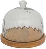 House of Nature Stolp San Jose 20cm