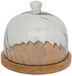 House of Nature Stolp San Jose 20cm