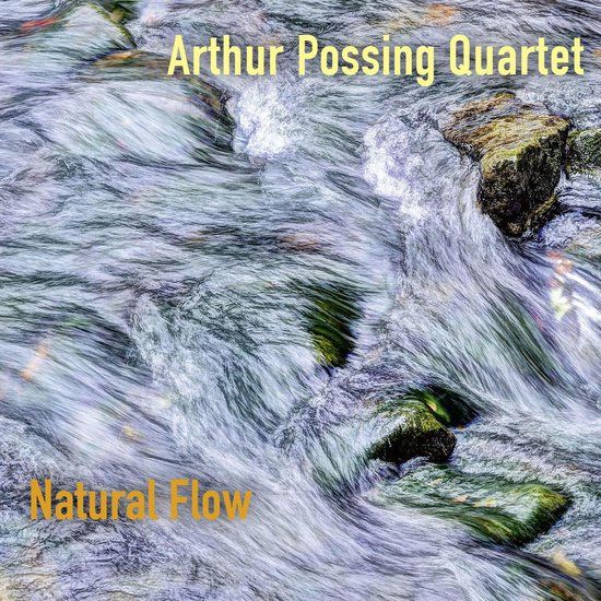 New Arts International Bv Arthur Possing Quartet - Natural Flow