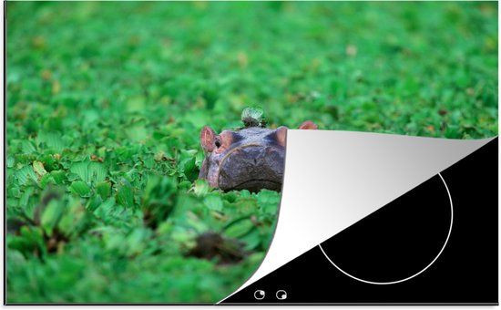 KitchenYeah® Inductie beschermer 77x51 cm - Nijlpaard - Planten - Vogel - Inductiebeschermer