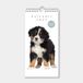 De Hobbit Minikalender 2027 - Maandplanner - 30x15cm - Honden