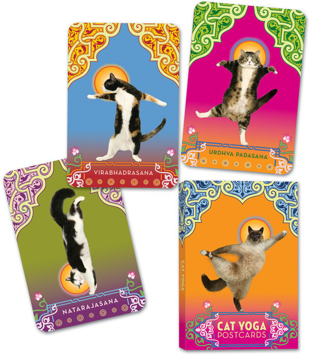 ISBN Cat Yoga Postcards Kaarten
