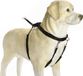 Beeztees Gentle Walker - Hondentuig - Zwart - M - 50 cm