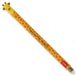 Legami Giraffe Giraffe Uitwisbare Rollerbalpen set