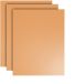 Famanu – Tapis de grill antiadhésifs – Tapis de grill BBQ – Tapis de cuisson réutilisable – Tapis de grill en téflon (40 x 33 cm)