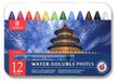 Set de 12 craies pastel solubles dans l'eau pour artistes