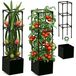 Draak Ensemble de 2 treillis pour plantes fruitières