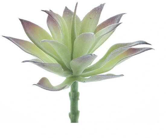 Erutan avon Agave pick Guanita flocked green 16 cm