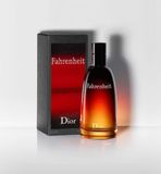 Dior Christian Dior / Fahrenheit / Eau de toilette / 50 ml / Heren