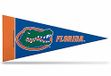 Rico Industries NCAA Florida Gators 8-Piece 4-Inch by 9-Inch Classic Mini Pennant Décor Set