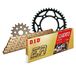 Kettingset DID Kettingset staal 520ERT2 / 110 clipslot voor Aprilia RS 125 cc bj. 2006-2013