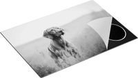 Chefcare Inductie Beschermer Hongaarse Vizsla Hond in het Gras - Zwart Wit - 75x50 cm