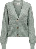 ONLY ONLCAROL NICE L/S CARDIGAN KNT NOOS Dames Vest - Maat S