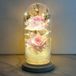 Enchanté Rose sous cloche en verre