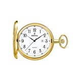 Festina F2028/1 - Zakkhorloge - Heren - Quartz - Bruin