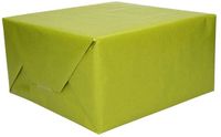 Shoppartners Rollen Kraft inpakpapier - groen - 200 x 70 cm
