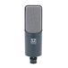 SubZero SZC-450 Grootmembraam Condensatormicrofoon
