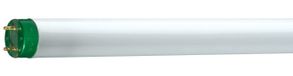 Philips Hue Philips MASTER TL-D Eco 51.4W G13 Cool Daylight T8 Fluorescent Lamp