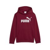 PUMA ESS No. 1-logo fleece hoodie voor jongeren 164, Garnet Glow Red