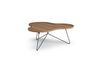 Swedese Flower Mono Special Edition Table 107x114 cm H45 cm Laqué Noyer Acier noirci