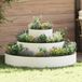 vidaXL Plantenbak Wit 120 x 120 x 20 cm Koudgewalst Staal