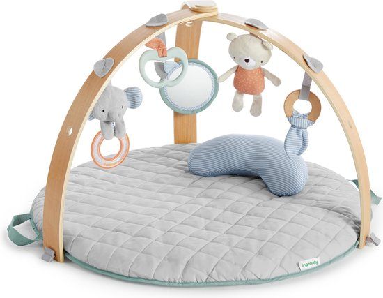 Bright Starts Ingenuity Cozy Spot Babygym - Multicolor