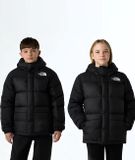 The North Face Hmlyn Down Parka Zwart Maat S
