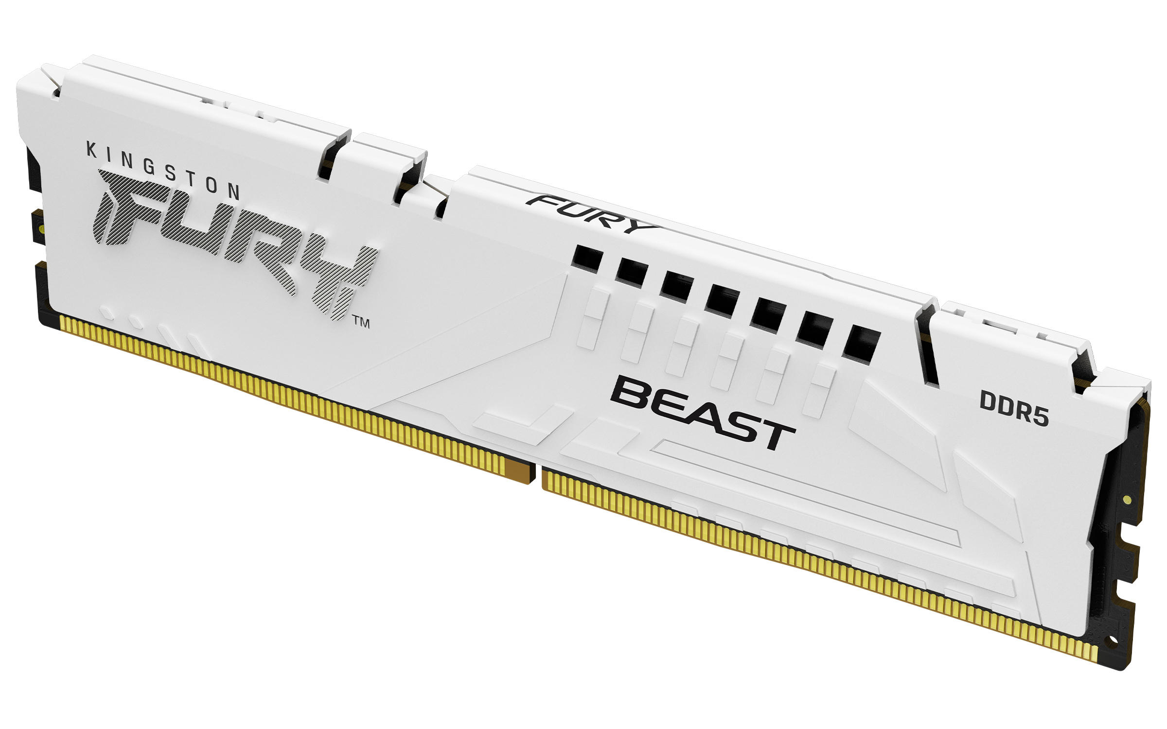 Kingston Technology 16GB 5200MT/s DDR5 CL40 DIMM FURY Beast White XMP