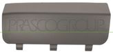 PRASCO Klappe, Abschlepphaken ME8221286 hinten links | Compatibel met: MERCEDES-BENZ M-CLASS