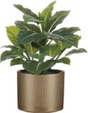 Mica Decorations Kunstplant Aroskelk - groen - H49 cm