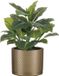Mica Decorations Kunstplant Aroskelk - groen - H49 cm