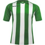 Acerbis Sports JOHAN STRIPED S/SL JERSEY GREEN/WHITE