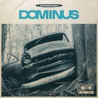 Dominus LP - Vol. beat - voor Geen - standaard