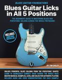 Blues Guitar Licks in All 5 Positions: Blues Guitar Foundations