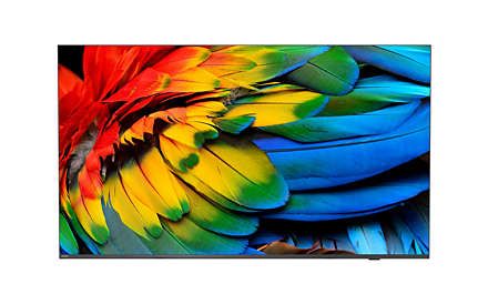 Philips 58HFL6214U/12 / LED screen / 58 inch / 2022