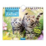 Trötsch Notizkalender Katzen 2026 mit 12 Postkarten