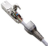 Qoltec - STP CAT6A Beveiligde Module - Gereedschapsloos - T568A/B